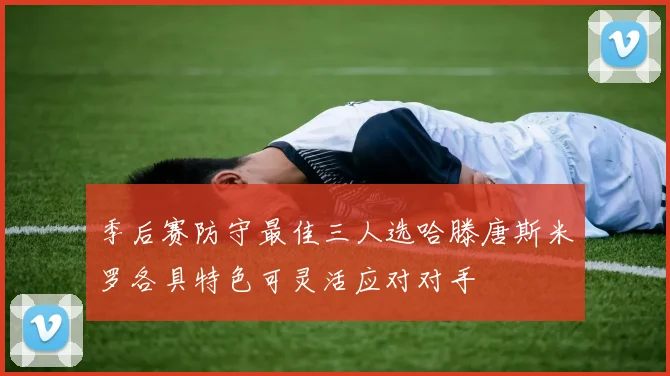 季后赛防守最佳三人选哈滕唐斯米罗各具特色可灵活应对对手
